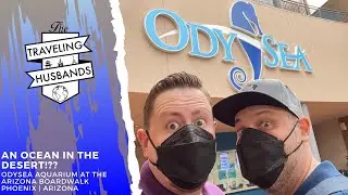 OdySea Aquarium at The Arizona Boardwalk | An Ocean in the Phoenix Desert