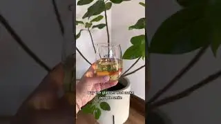 Punny Plant Glassware for Plant Moms - Cute Stemless Wineglasses - On The Rox Drinks