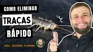 Como Acabar Com Tra&ccedil;as Com M&eacute;todos Caseiros - Bi&oacute;logo Richard Floriani