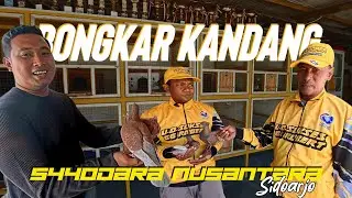 Bongkar kandang Saudara Nusantara bersama Ownernya langsung #merpatibalap #merpati #ppmbsi #galena 