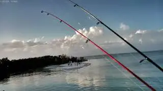 Pompano jigging Apollo Beach Park Florida Power Plant #pompanojigging