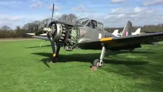 Return Of The Piston Provost