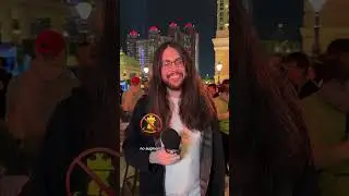 Pengu or Choncc?