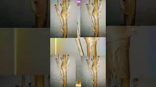 Javanis.... Multi Pakem