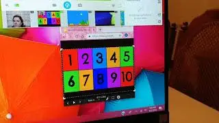 Manycam with Google slides :)