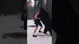 Why Russians Love Bears?!
