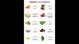 Carrot, Beetroot, Garlic & More | Vegetable Names in English with Tamil Meaning🍫🥰
