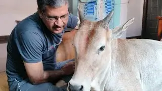  गोरी बारीश में भीग कर आई है 🙏🙏😱😱