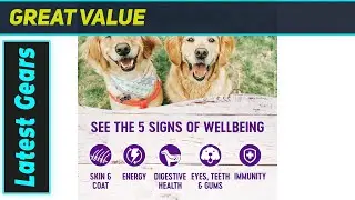 Wellness Complete Health Dog Food: The Amazing Chicken & Oatmeal Secret!