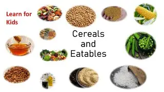 Eatables and Cereals Name Learn for kids