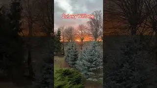 Sunset 🌅🌄 Żuławy Wiślane #sunset #sunrise #peaceful #funny #shorts #viral #christmas