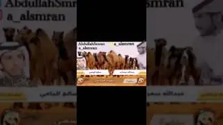 شيلة مزاين مطير 2017 كلمات عبدالله سمران واداء صالح اليامي