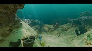 Cambrian Period 360&deg;