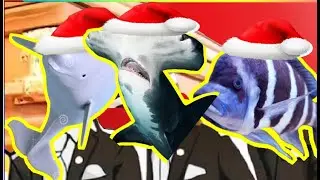 Beluga Vs Hammerhead Shark Vs Clown Fish - Coffin Dance X Christmas COVER