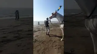 Suruchi Beach l Vasai West, Mumbai