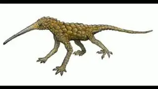 Cactus Lizard Sound Effects