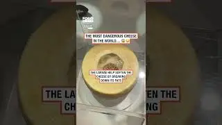 The most dangerous cheese in the world 🧀🤢          🎥: TikTok / ratouchniak