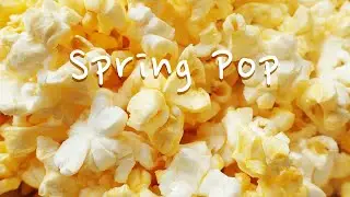 [Bright Music] Spring Pop🍿 | Royalty free music