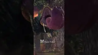 Pukei-Pukei | Hunts in the New World | Anicent Forest