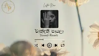 Chandani Payala (Slowed + Reverb) | Bathiya & Santhush | Malith Perera Cover | Induwara Anuhas Edit