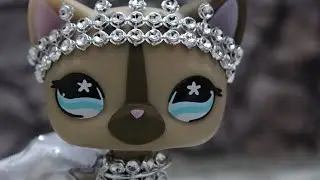 News LPS de Aliexpress 1/?