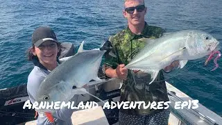 Crazy sharks eating our fish on little remote island off Gove Northern Territory