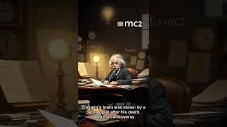 Unbelievable: 10 Surprising Facts About Albert Einstein