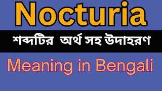 Nocturia Meaning In Bengali /Nocturia mane ki