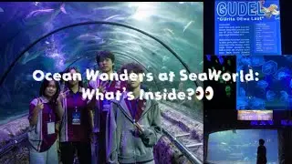 Ocean Wonders at SeaWorld: What’s Inside?👀