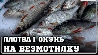 ✅️ СПРАВЖНІЙ ДРАЙВ на БЕЗМОТИЛКУ в межах МІСТА‼️ ПЛОТВА та ОКУНЬ КЛЮЮТЬ ЩОХВИЛИНИ❄️🔥