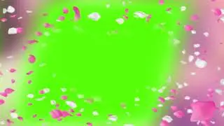 Flower Video Border Effect Chroma Key | Green Screen | All in One