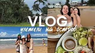 VLOG: Шри-Ланка 2025/ cерфинг/ красивые локации/ сумасшедшие поступки/ и просто лучшая жизнь