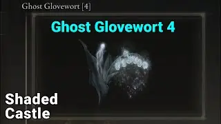 Ghost Glovewort 4 Location, Shaded Castle - Elden Ring