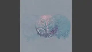 Modulator