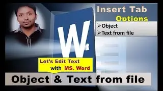 Object and Text from File Options - How to use MS Word