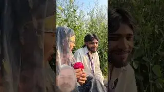 chithru gye phoolmati se Milne #comedy #चिथरू #funny #funny #chithru #shortsfeed #video