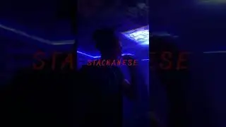 WILFLE&Eacute; - STACKANESE (Audio)