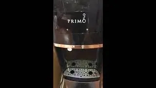 Primo Top Load Water Cooler Pet Station Review