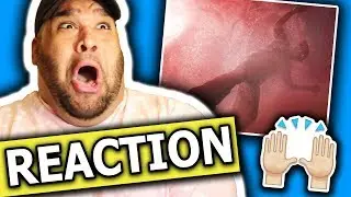 Harry Styles - Lights Up (Music Video) REACTION