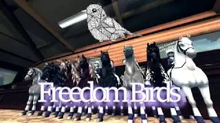 STAR STABLE ONLINE || КЛУБ FREEDOM BIRDS || ЗАЧЕТНАЯ ВЫЕЗДКА