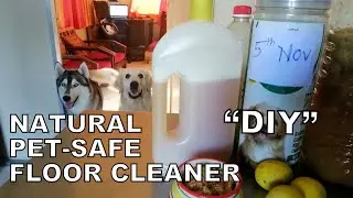 Pet - Safe Floor Cleaner | DIY natural floor cleaner