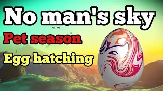 No man's sky, pets season, hatching the egg.
