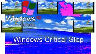Windows XP Sounds Sparta Gamma Remix