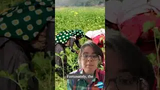 World Population Day 2024