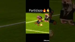 partidazo💥🤙