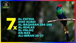 7x Al-Fatihah, Ayat Kursi, Al-Ikhlas, Al-Falaq, An-Nas | Perlindungan dari Sihir & Gangguan Jin