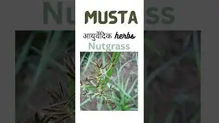 #ayurved #herbs#bams#sanskrit