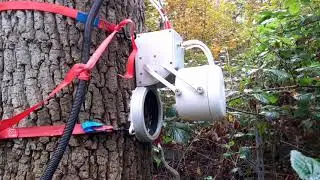 Tree stem respiration measurements by Josep Barba thanks to Eosense  Environmental Gas Monitoring