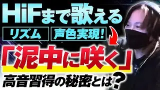 【最高実績】分離型から共鳴覚醒の超高音ミドルボイスへ！裏声ベースミドルボイスからさらなる成長【ミックスボイス】【歌が上手くなる】【ミドルボイス】