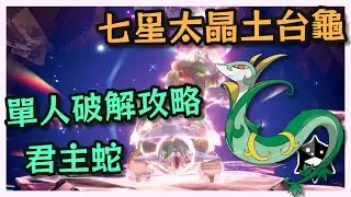 【寶可夢朱紫】七星土台龜太晶團體戰、單人破解攻略！一隻君主蛇直接打穿！